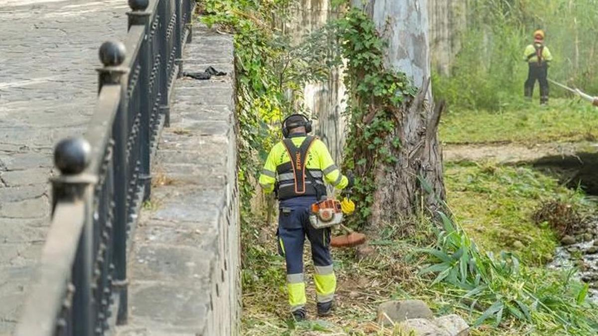 Dos empleados municipales realizan labores de mantenimiento. | L.O.
