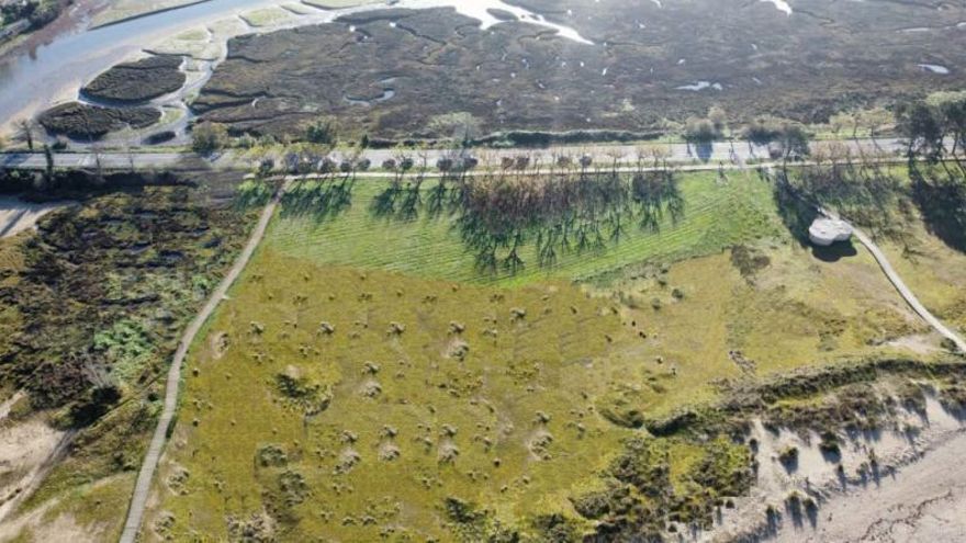 El proyecto para regenerar las dunas de la playa Grande de Miño, a exposición pública