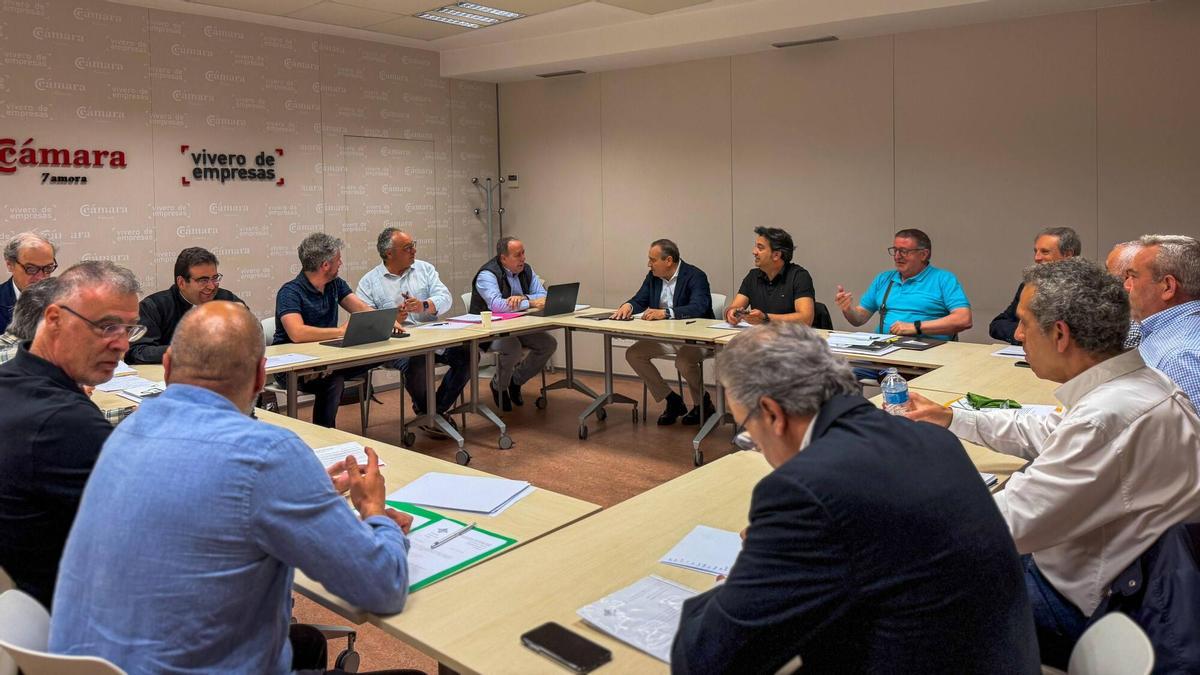 Consejo Rector de la Junta pro Semana Santa, celebrado en la sede del Vivero de Empresas.