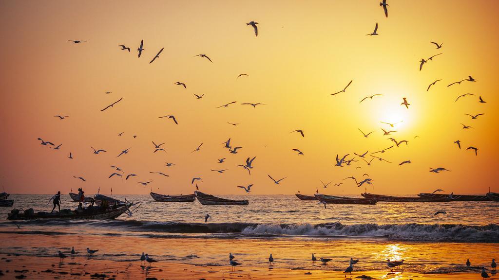 Barcos de pesca en las costas de Gambia.