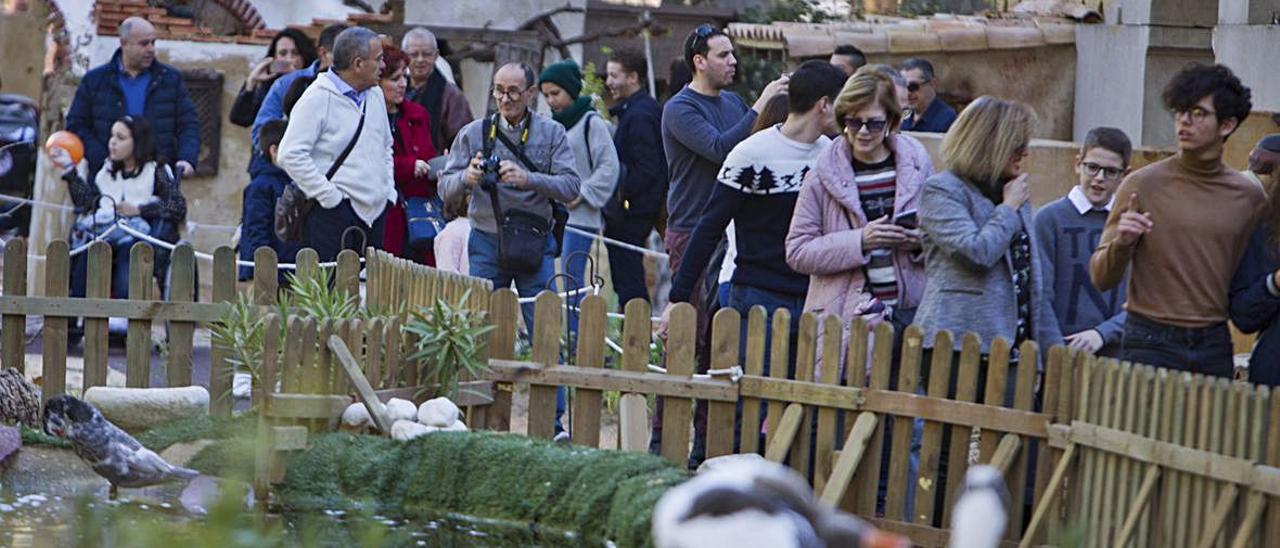 A la izquierda, aspecto del belén de Xàtiva de la Navidad de 2019 en uno de sus momentos más concurridos. A la derecha, los preparativos del actual ayer. | PERALES IBORRA