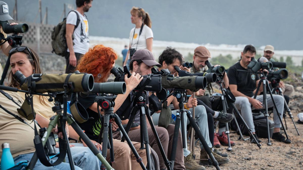 Varias personas realizan una observación de aves migratorias desde el Faro de Buenavista, en Tenerife