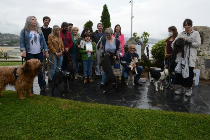 Algunos de los asistentes con sus mascotas. | G.N.