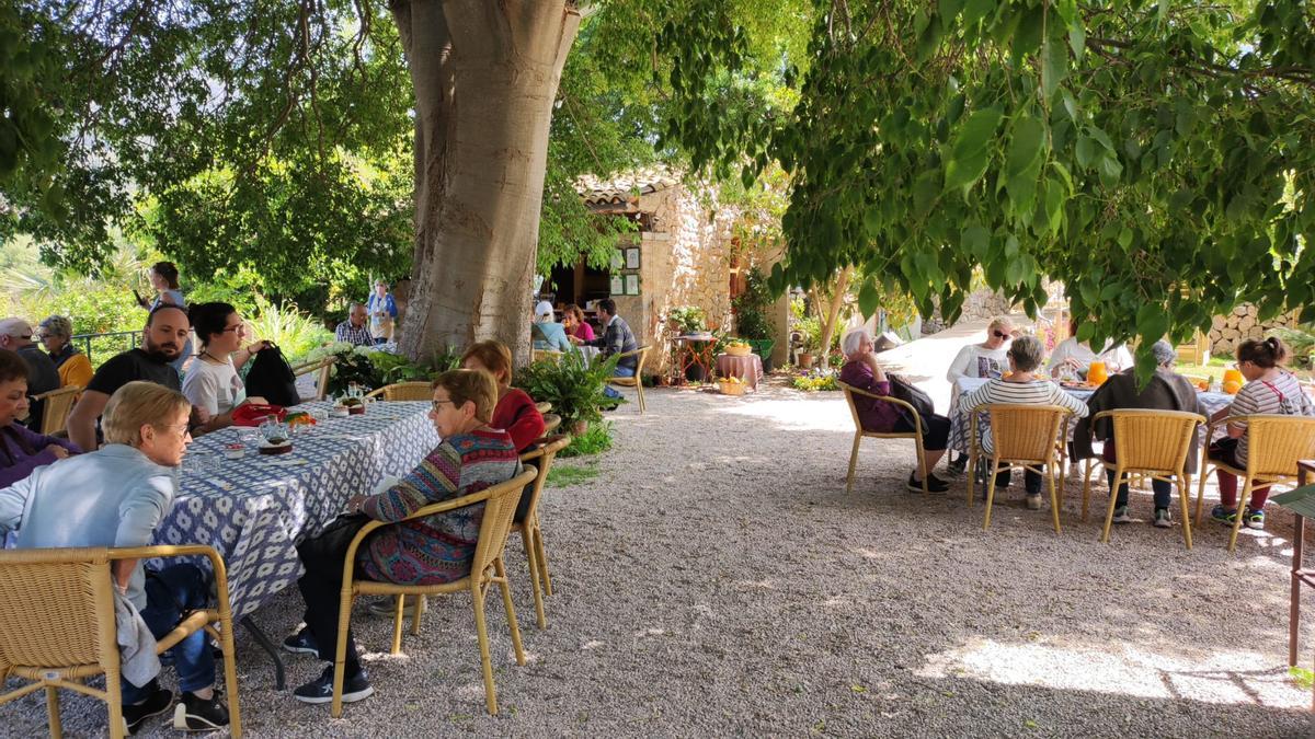 Estellencs y Banyalbufar pilotan un proyecto para recuperar la agricultura