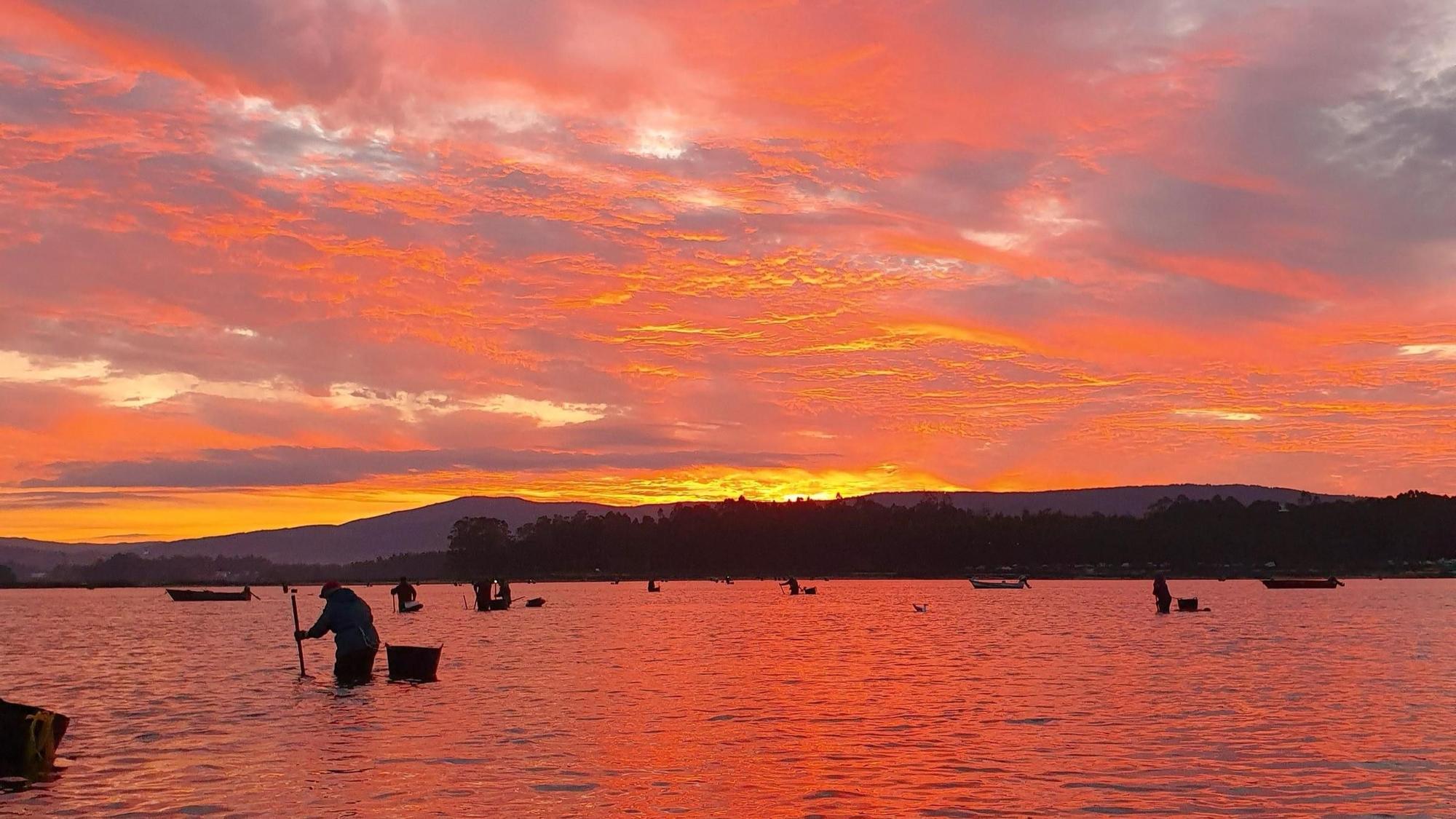 Los mariscadores no acuden todos los días ni a las mismas horas, dependen de las mareas