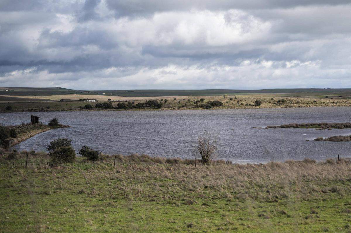 El Guadiloba asoma fuera de su pantano de Cáceres