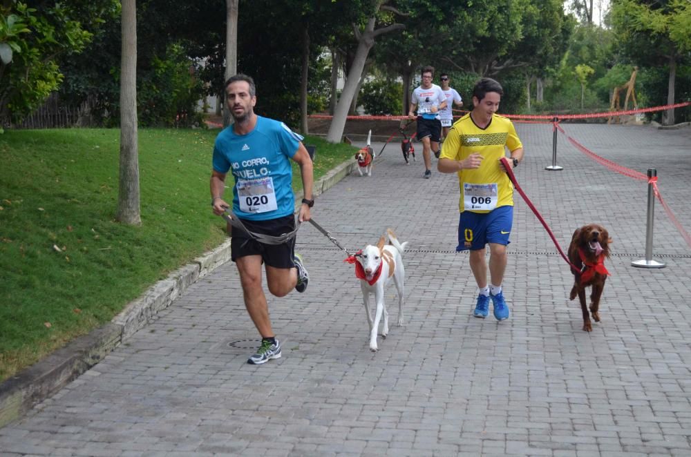 Los participantes en la cuarta Can-rrera.