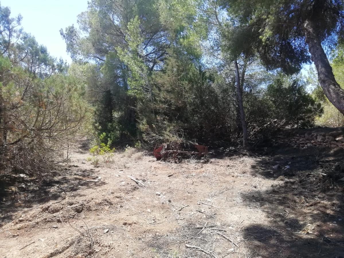 Galería: Así ha quedado el vertedero ilegal de Cala Tarida