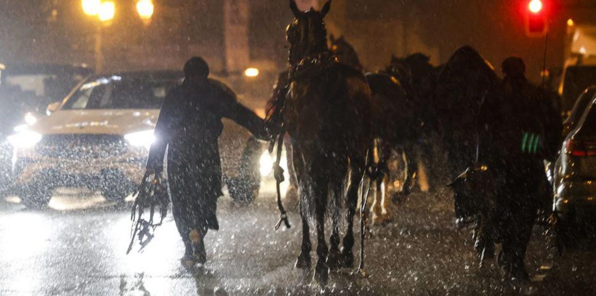 Un caballo de la cabalgata de Reyes de Oviedo, bajo la lluvia, tras el desfile. | LUISMA MURIAS