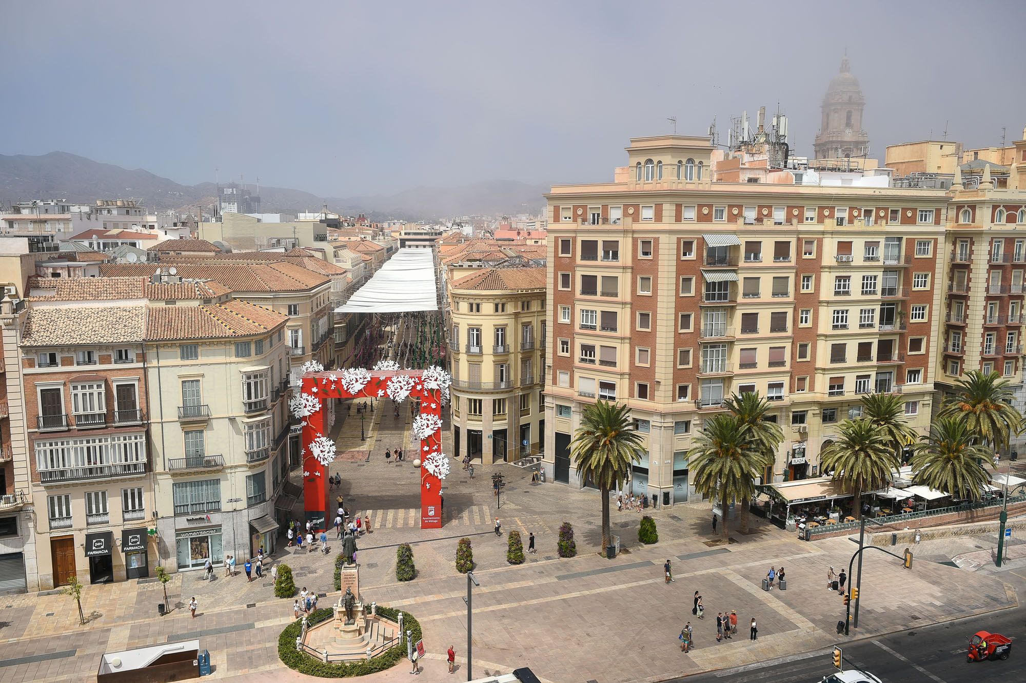 El taró cubre el litoral de Málaga