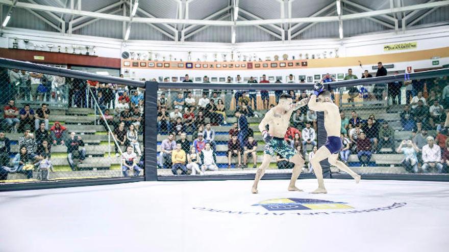 Imagen de un combate de MMA en La Gallera del López Socas