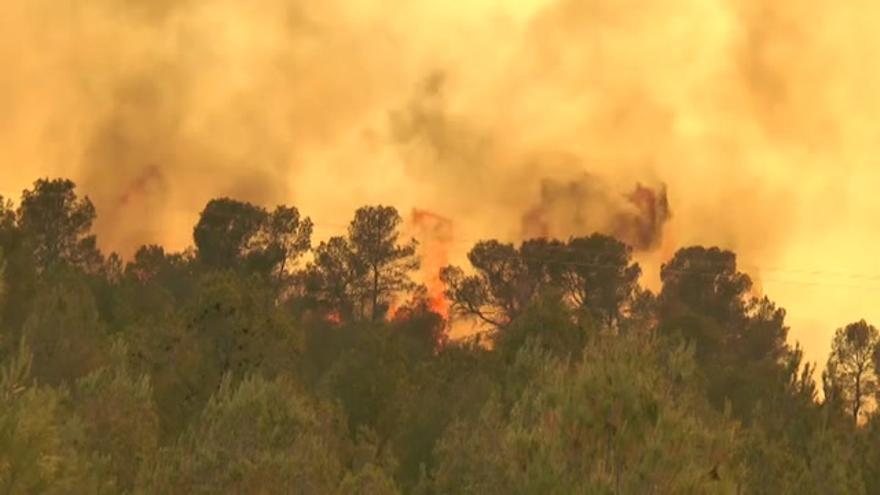 VÍDEO / Ya van 700 hectáreas quemadas en el incendio de Liétor (Albacete)