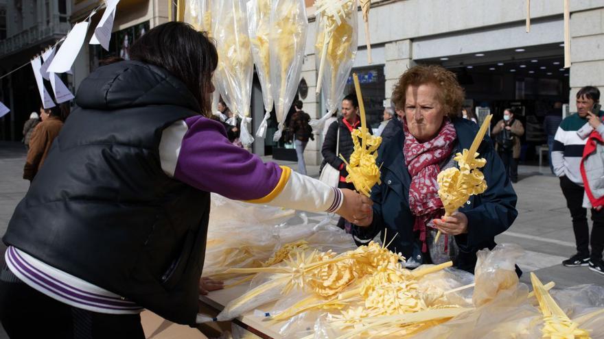 Una mujer adquiere varias palmas. | A. Burrieza