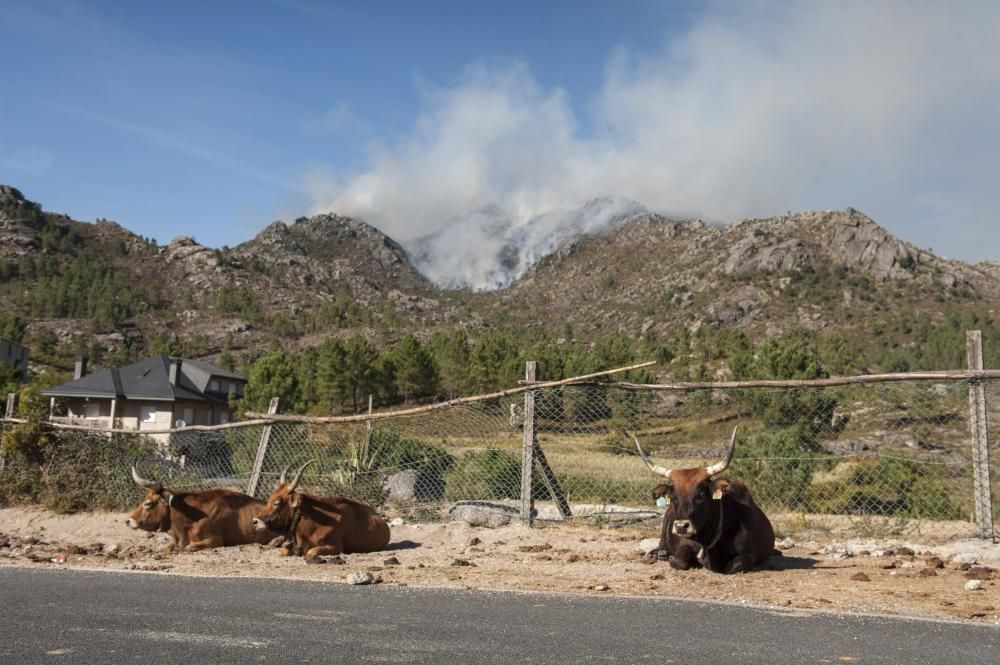 El macroincendio de Entrimo devoró más de seis hectáreas por minuto en cinco horas críticas