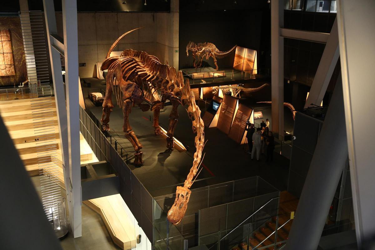 Exposición Dinosaurios de la Patagonia en CosmoCaixa Barcelona