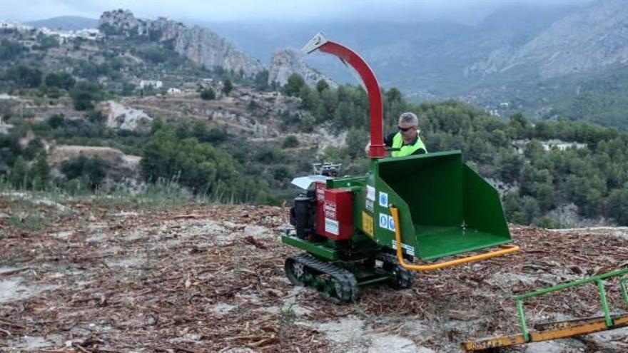 Operarios realizando tareas de desbroce en agosto en una de las parcelas de Guadalest.