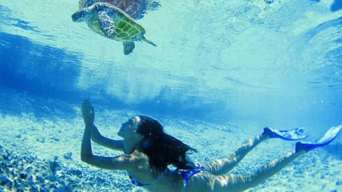 Vacaciones entre tortugas en Tahití