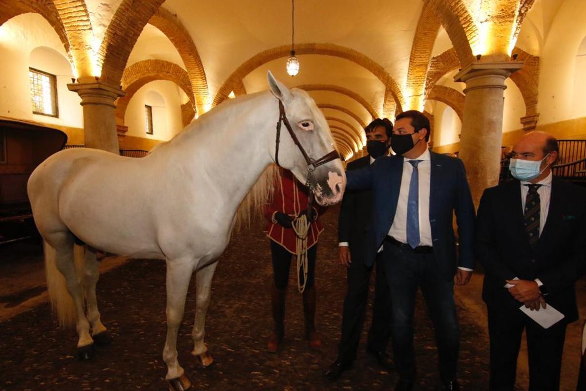 Cabalcor desafía a la lluvia