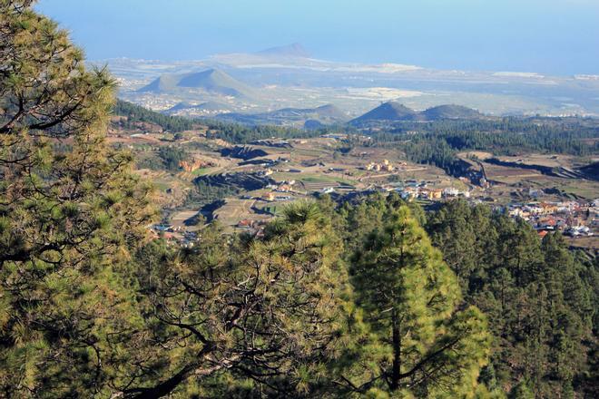 Vilaflor, el pueblo de los pinos