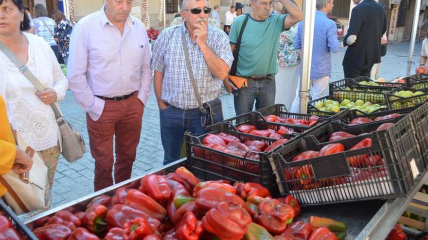 Benavente: El pimiento de la Feria &quot;visto y no visto&quot; en esta edición