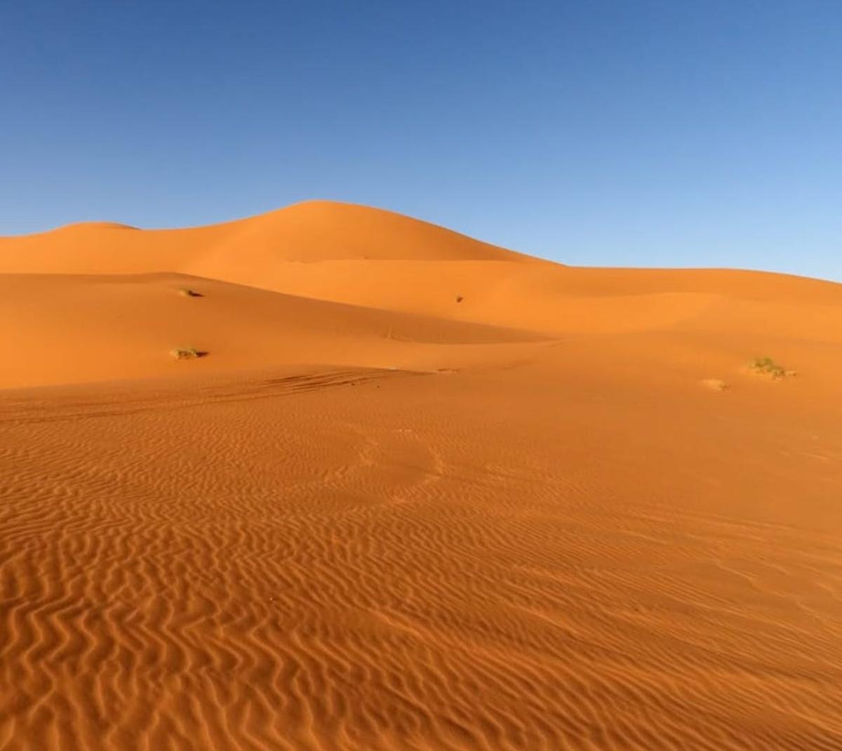 El desert