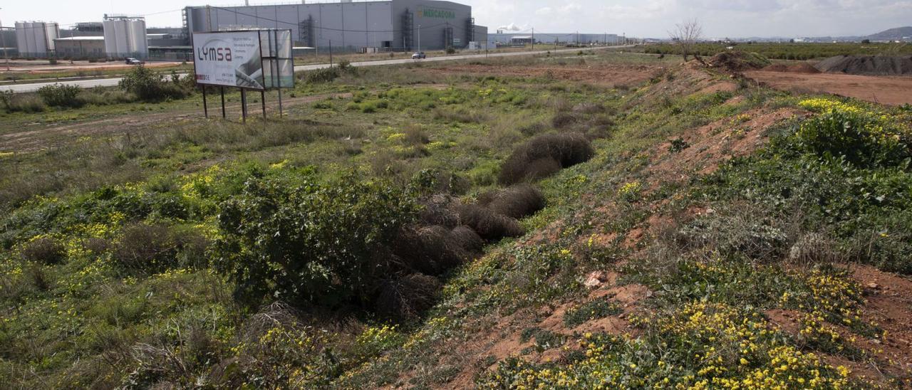 Terrenos correspondiente a Parc Sagunt II, con la nave logística de Mercadona de la primera fase al fondo.  | DANIEL TORTAJADA