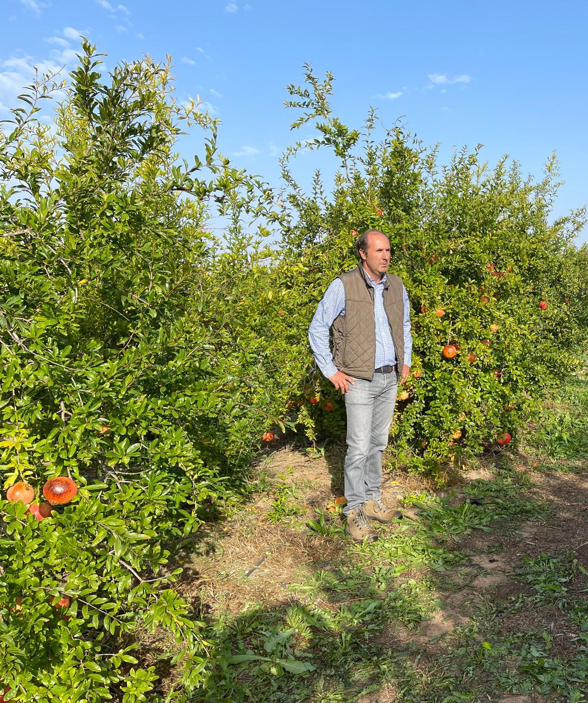 PREMIO AGRICULTOR PROFESIONAL: Roque Bru