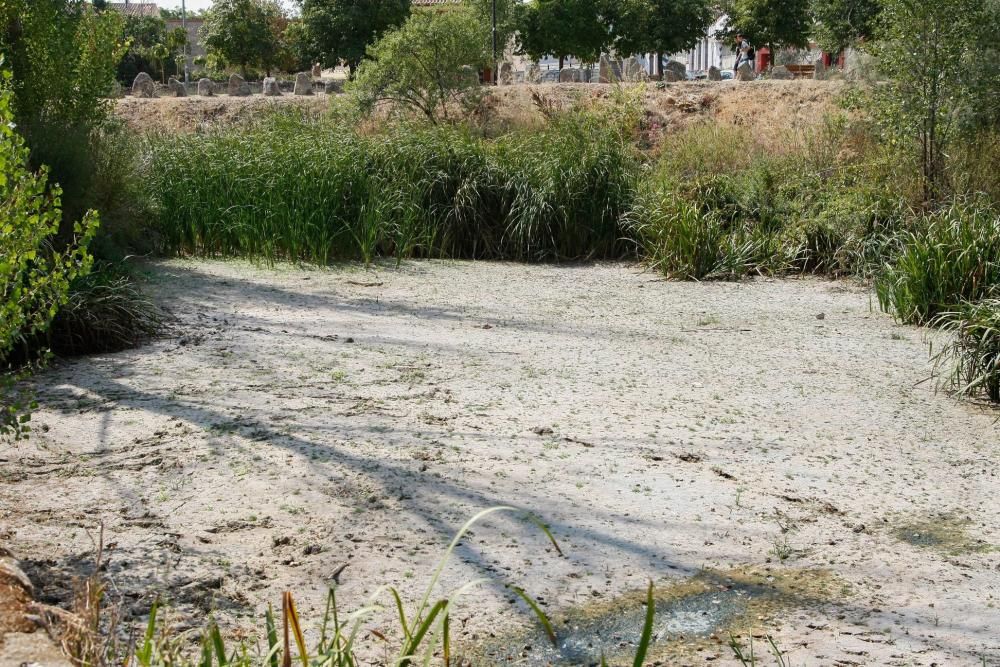 Sequía en Zamora: El Duero, bajo mínimos