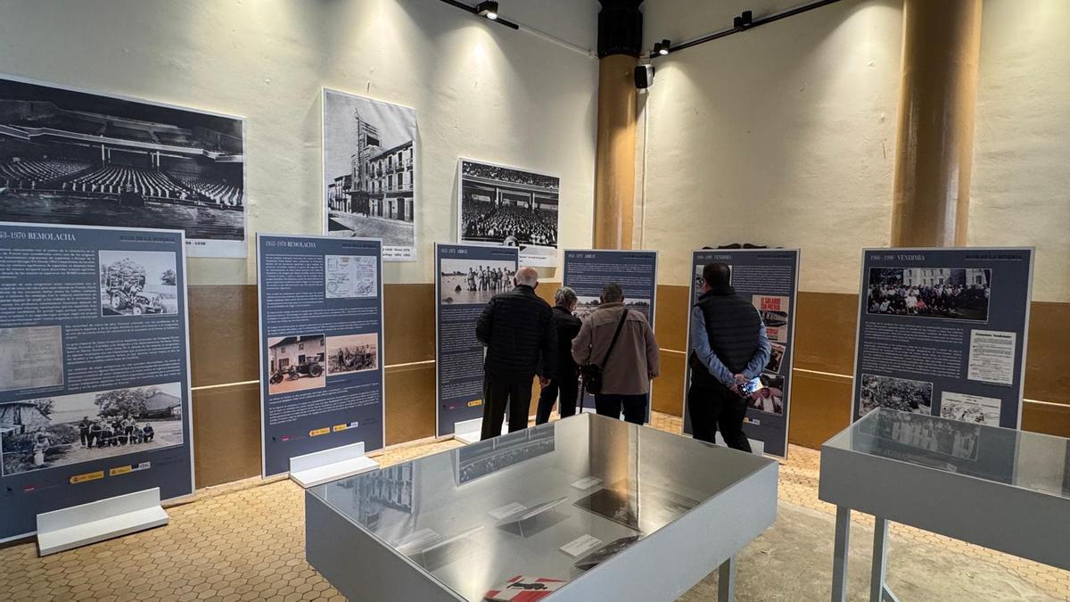 Sueca acoge la exposición "Huir de la miseria. Los temporeros españoles en Europa, 1948-1990"