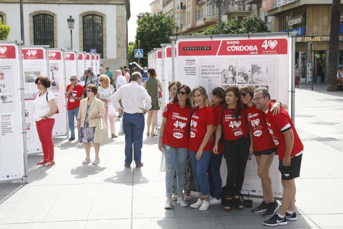 Las Tendillas se llena de 40 años de portadas de Diario CÓRDOBA sobre trasplantes