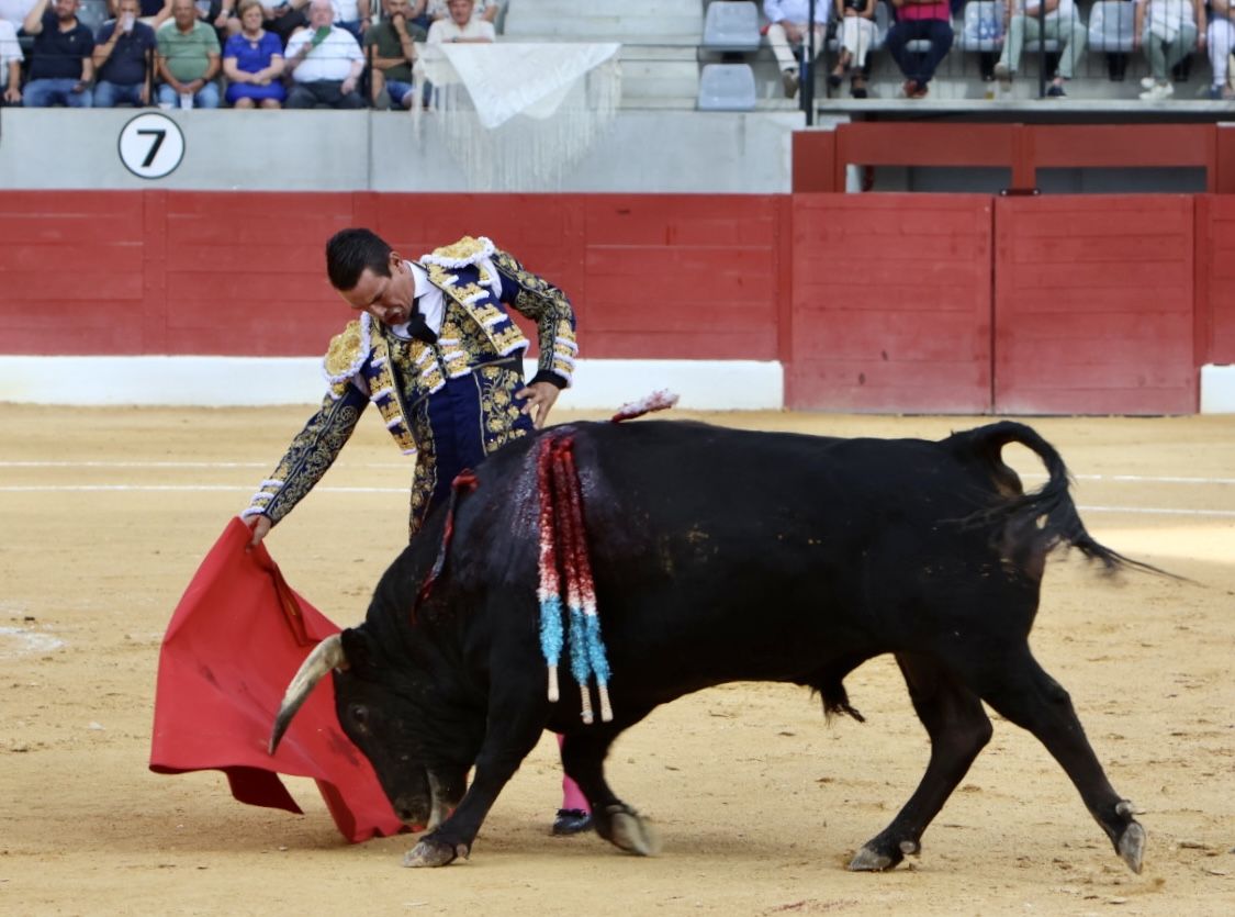 Las imágenes de la vuelta de los toros a la plaza de Villena