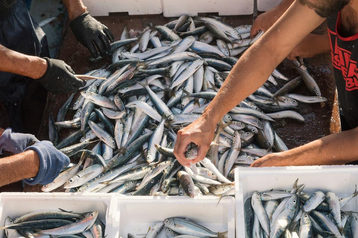 Estos son los alimentos y nutrientes claves para reducir la probabilidad de un aborto expontáneo.