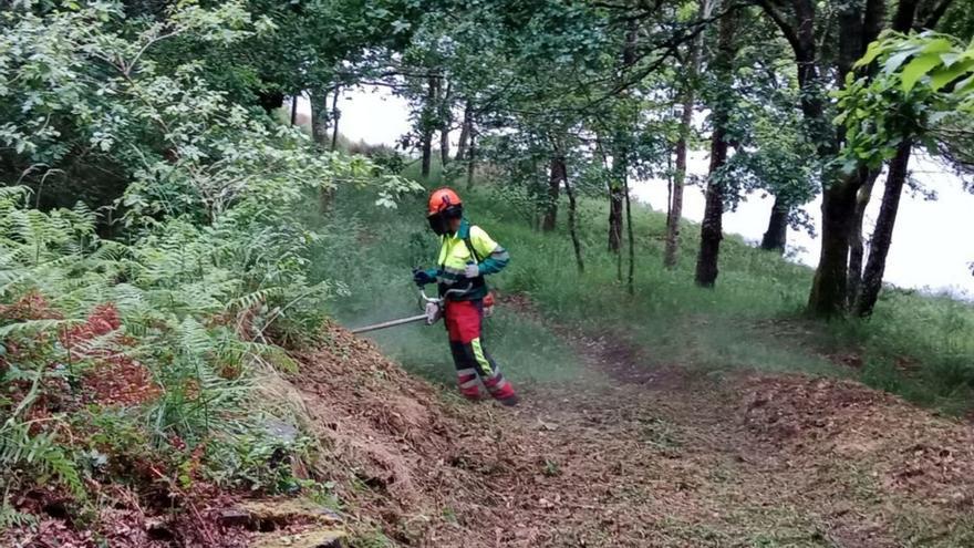 Medio Ambiente inicia el lavado de cara de las cercanías del embalse de A Baxe