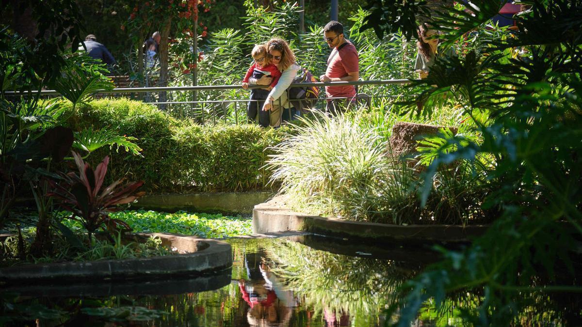 Parque García Sanabria, en el municipio de Santa Cruz de Tenerife.