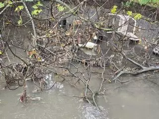 Vertido de fecales y aceite a la ría desde el río Santa Mariña