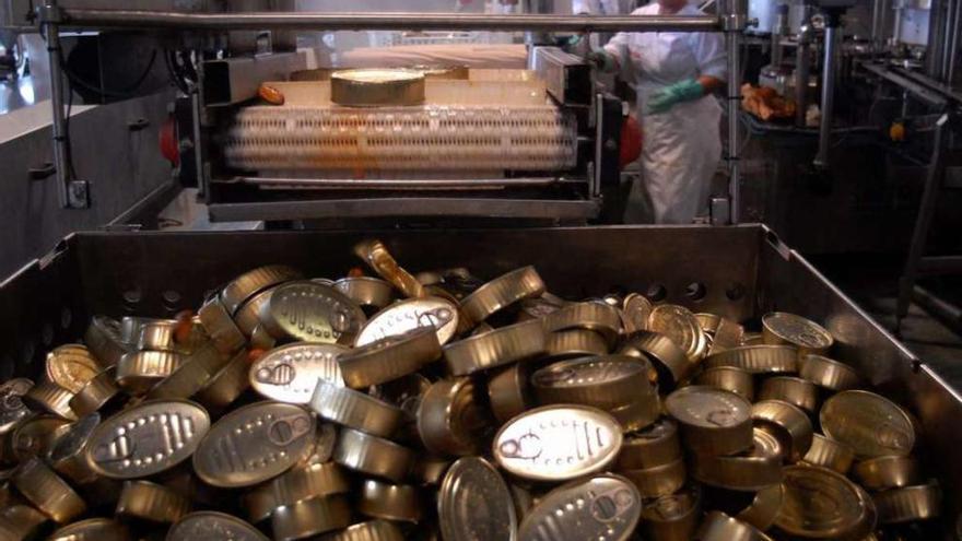 Latas de conserva listas para empaquetar en una fábrica gallega.