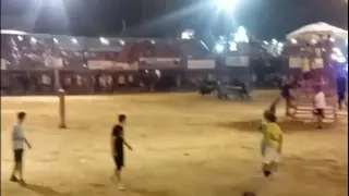 Movida noche de toros en el Port de Sagunt