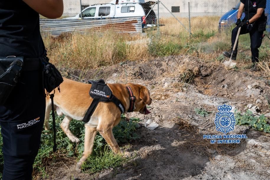 Un perro inspecciona la finca en la que retuvieron a los dos hombres