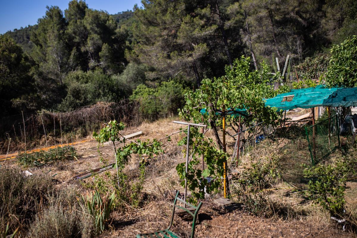 El Hort d'en Tomàs, en el barrio de Montbau, en Barcelona.