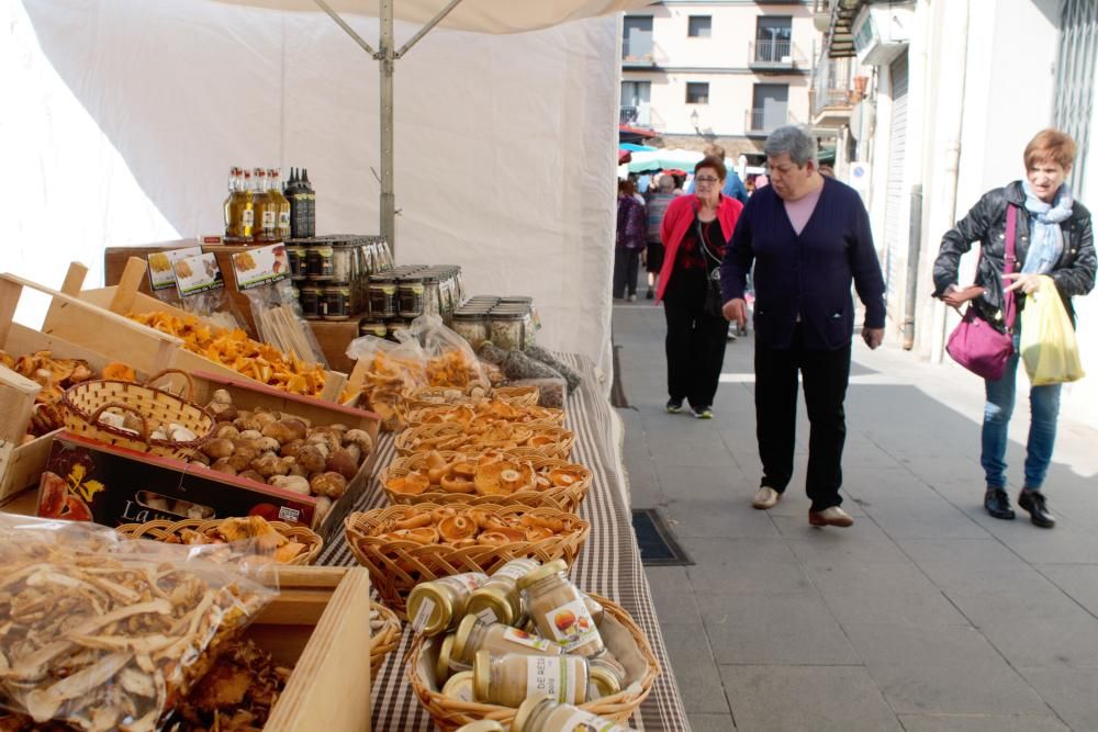 Fira del Bolet La Pobla de Lillet