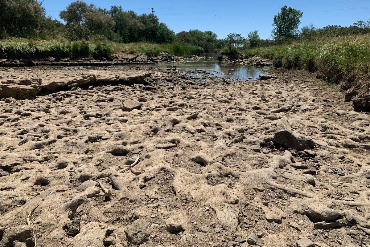 El río Guadiamar, que surte de agua a Doñana, afectado por la sequía.