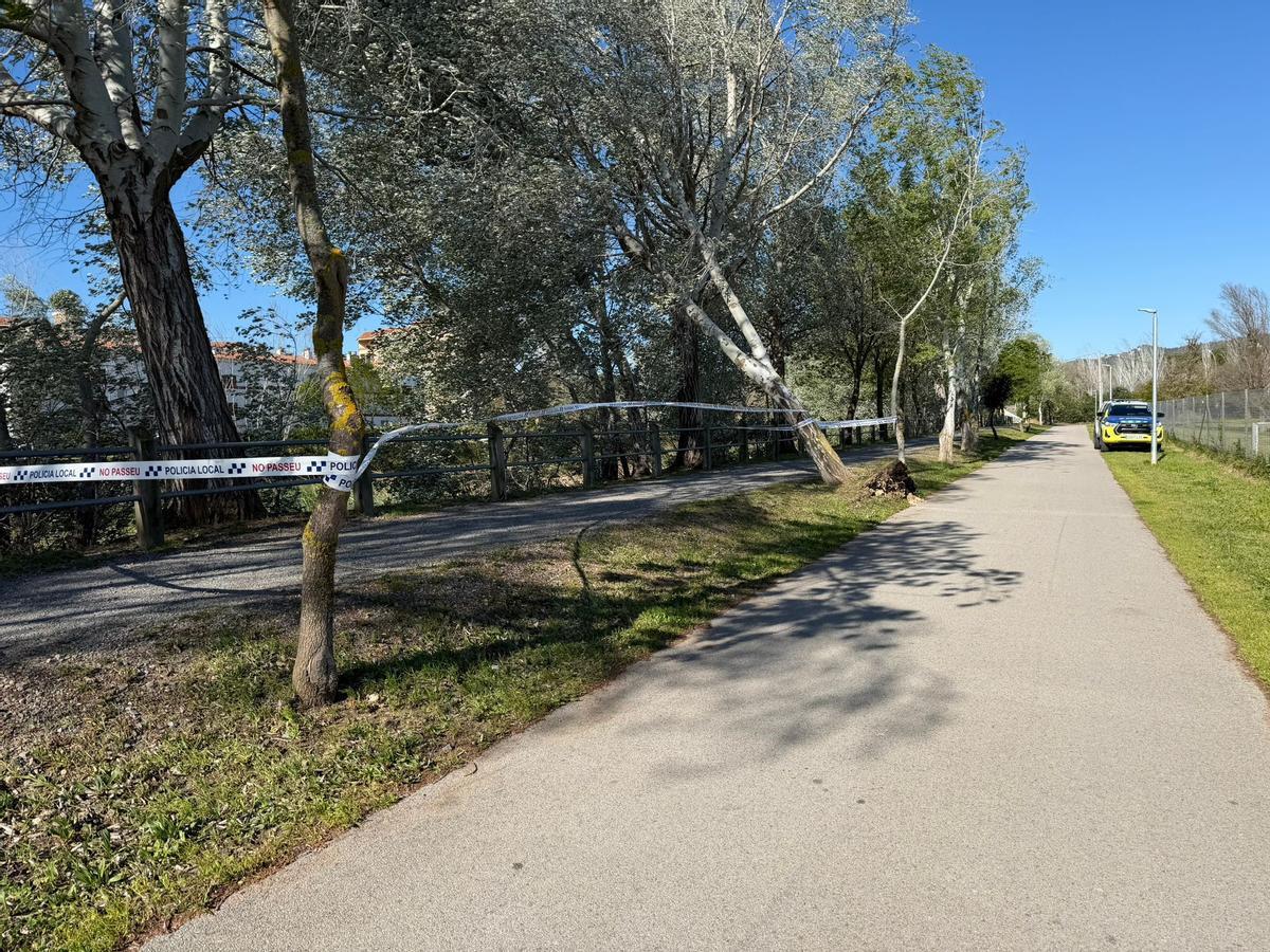 Els efectes de l'episodi de vent a Girona, en imatges