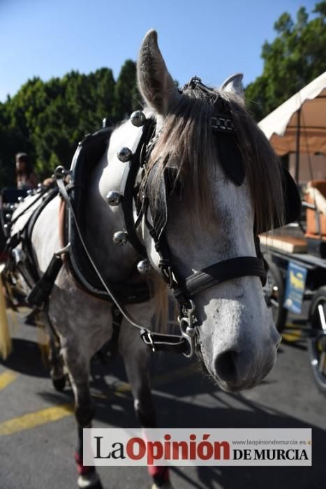 Ruta a caballo desde la ciudad al corazón de la hu