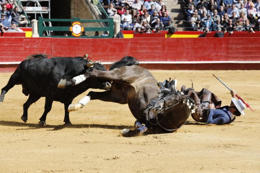 Secuencia de la cogida de uno de los caballos del rejoneador Sergio Galán el día de San José en la Feria de Fallas 2019.