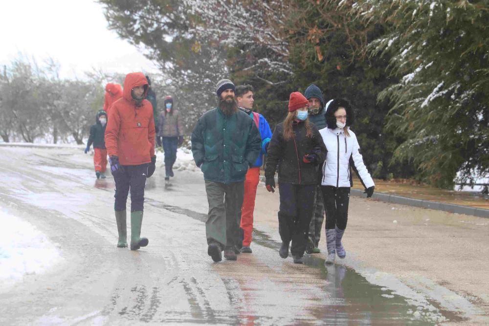 Nieve en Coy, Lorca