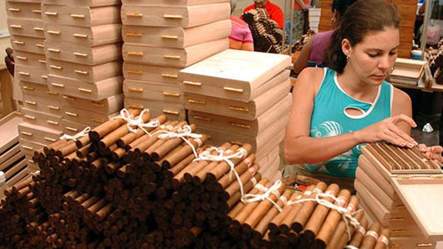 Los puros Habanos buscan dueño