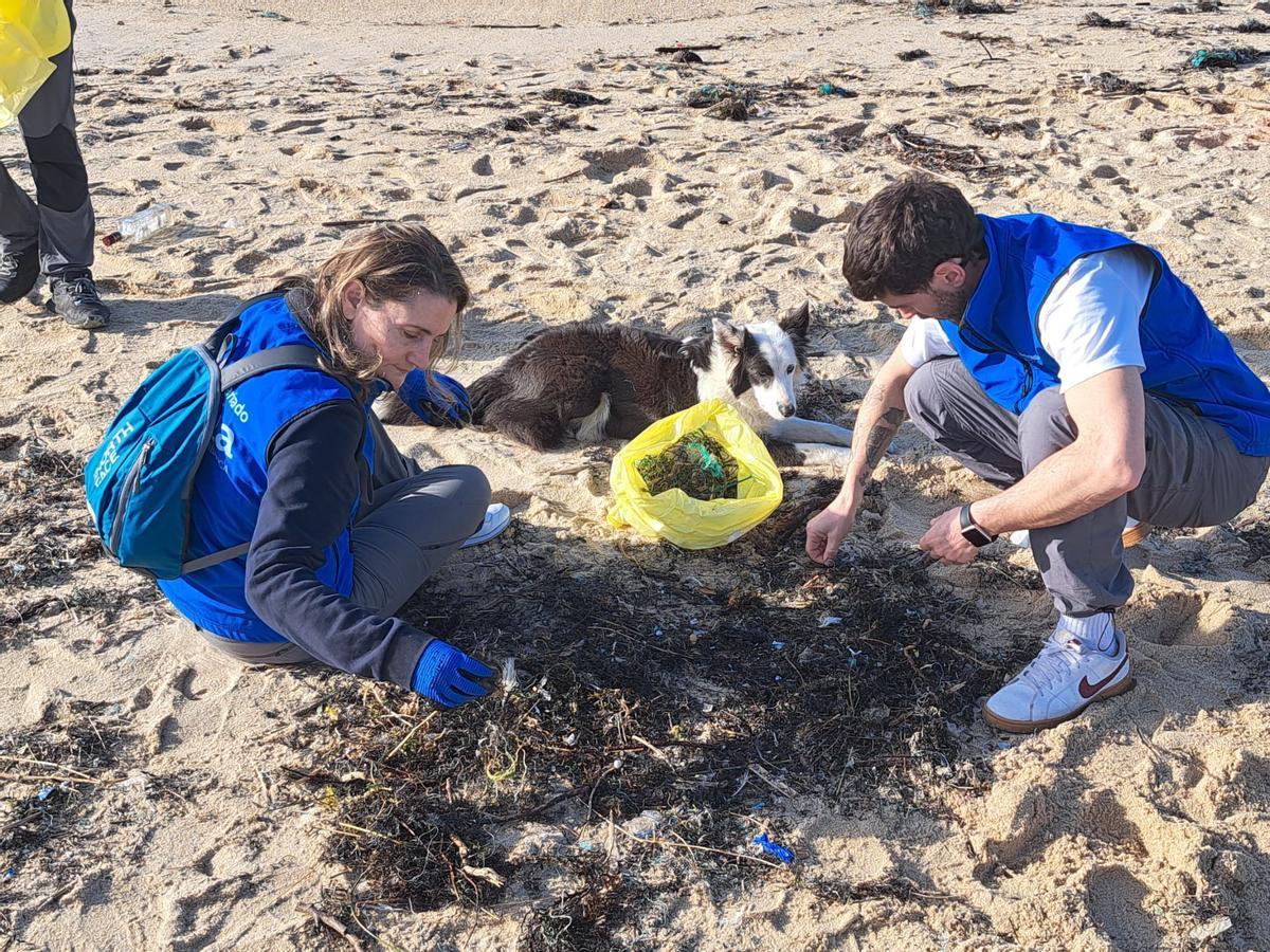 La limpieza de la playa de Area de Bon, en Bueu, en imágenes (II)