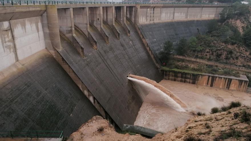 El campo murciano prevé perder la mitad de la cosecha por las lluvias