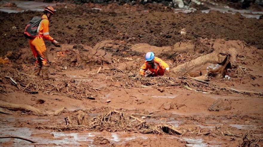 Dos bomberos tratan de rescatar a una vaca entre el lodo en Brumadinho, en Brasil.