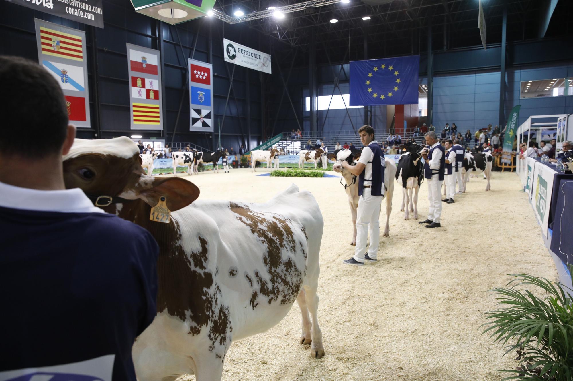 EN IMÁGENES: Gijón acoge una nueva edición de Agropec